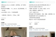 合盘八字闲鱼：LABUBU搜索量环比上涨1000%，供不应求下现租赁新形式