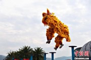 合盘八字（文化中国行）壮乡狮舞闯南洋：脚踏“云桩” 饮誉海内外